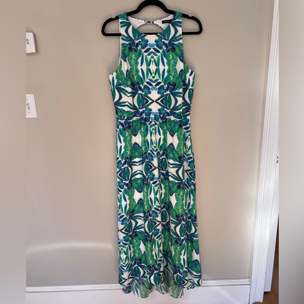 Cynthia Steffe Sydney Printed Floral Maxi Dress